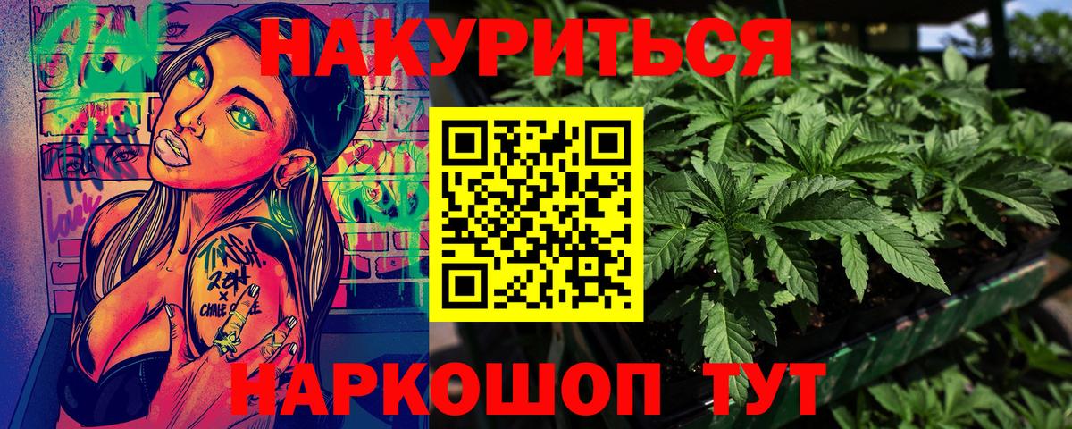 Шишки марихуана гибрид Заволжье